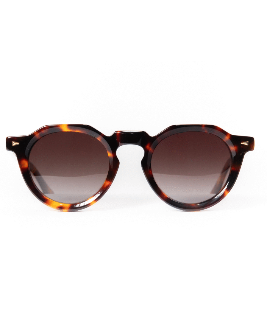TORTOISE ECLIPSE - IZZI